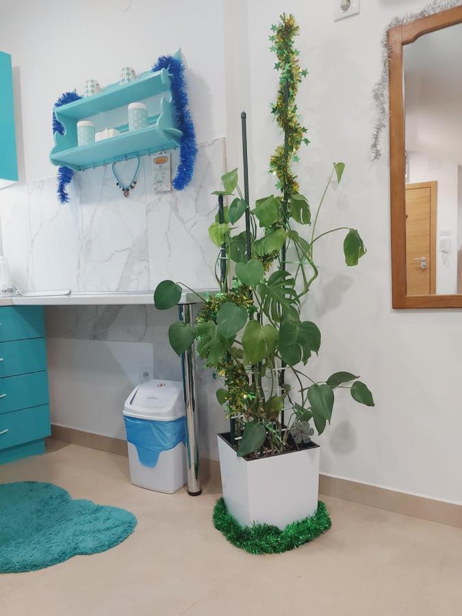 Apartman Santorini Novi Sad Extérieur photo